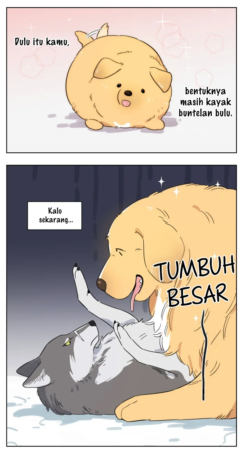 Halaman 42