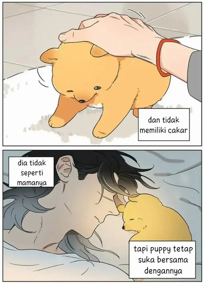 Halaman 13