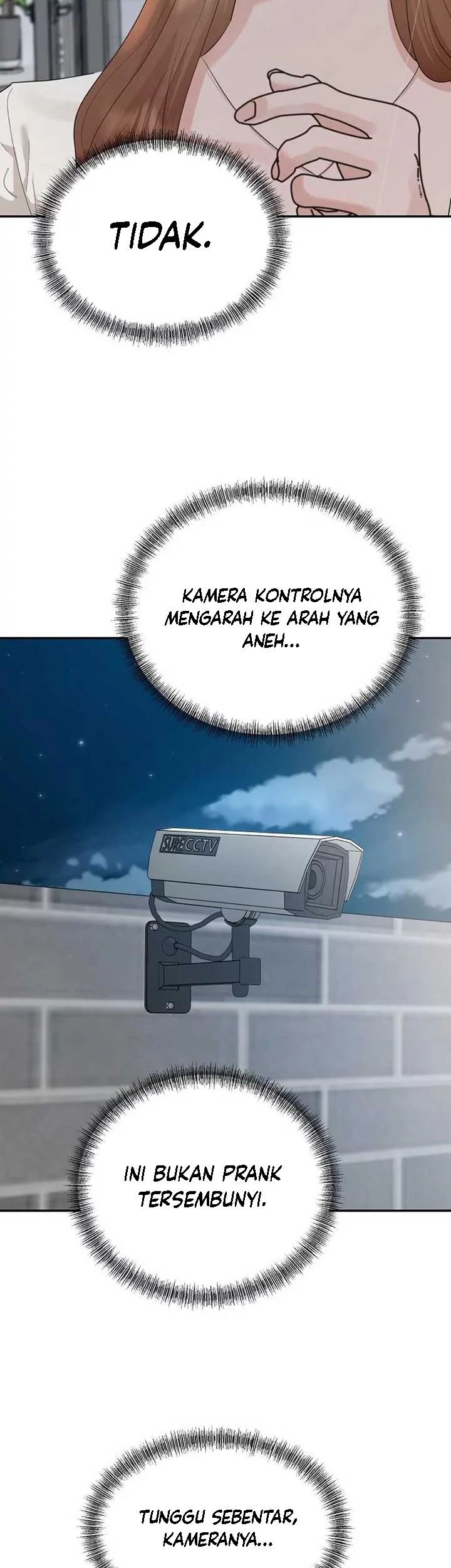 Halaman 43