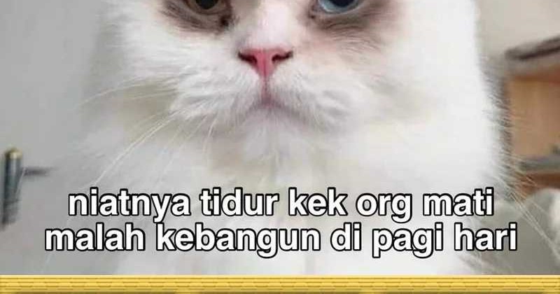 Halaman 107