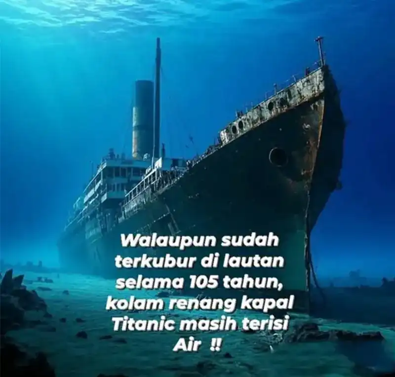 Halaman 206