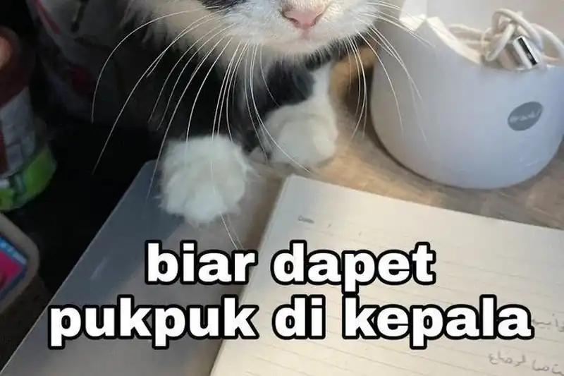 Halaman 93