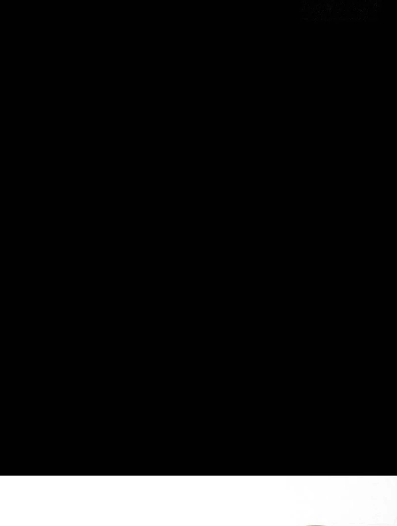 Halaman 386