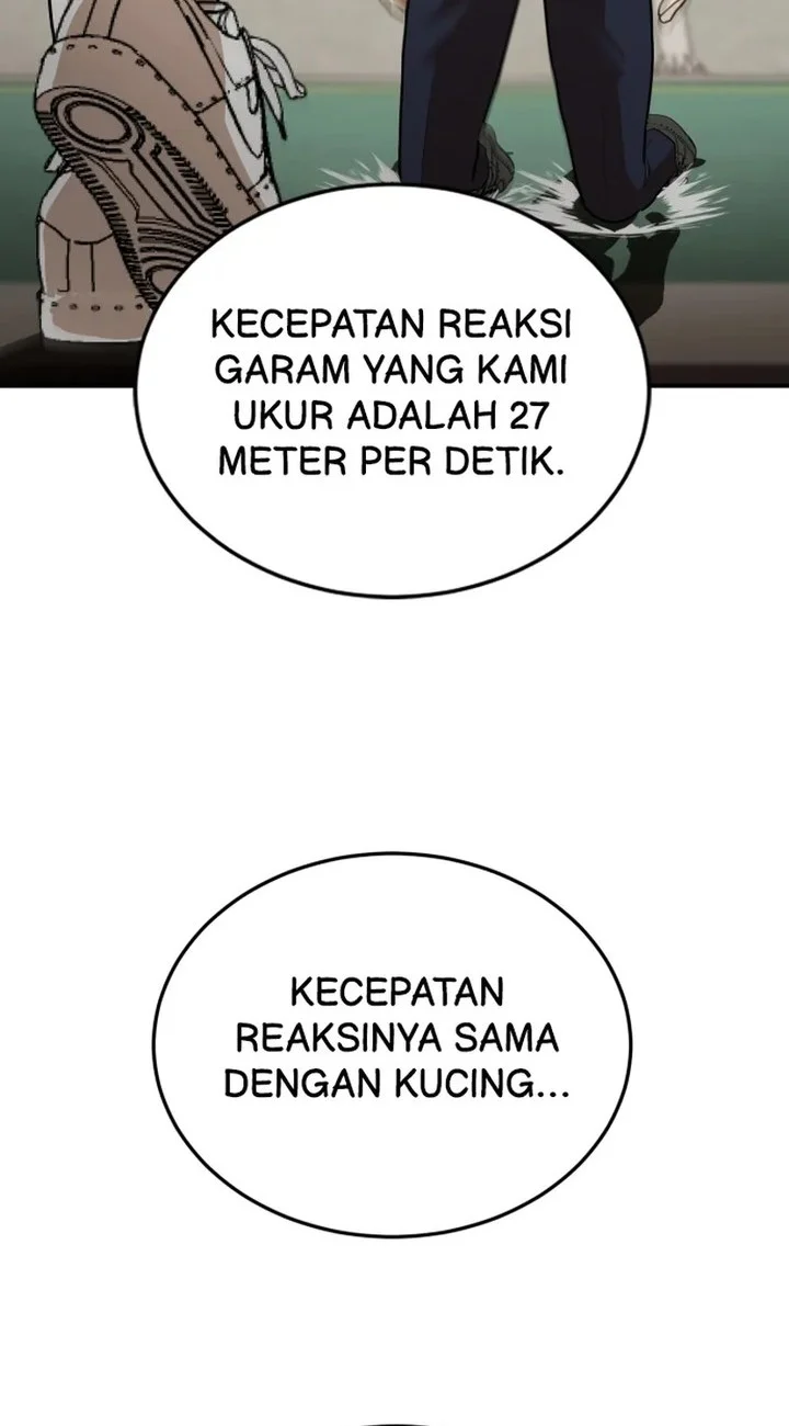 Halaman 64