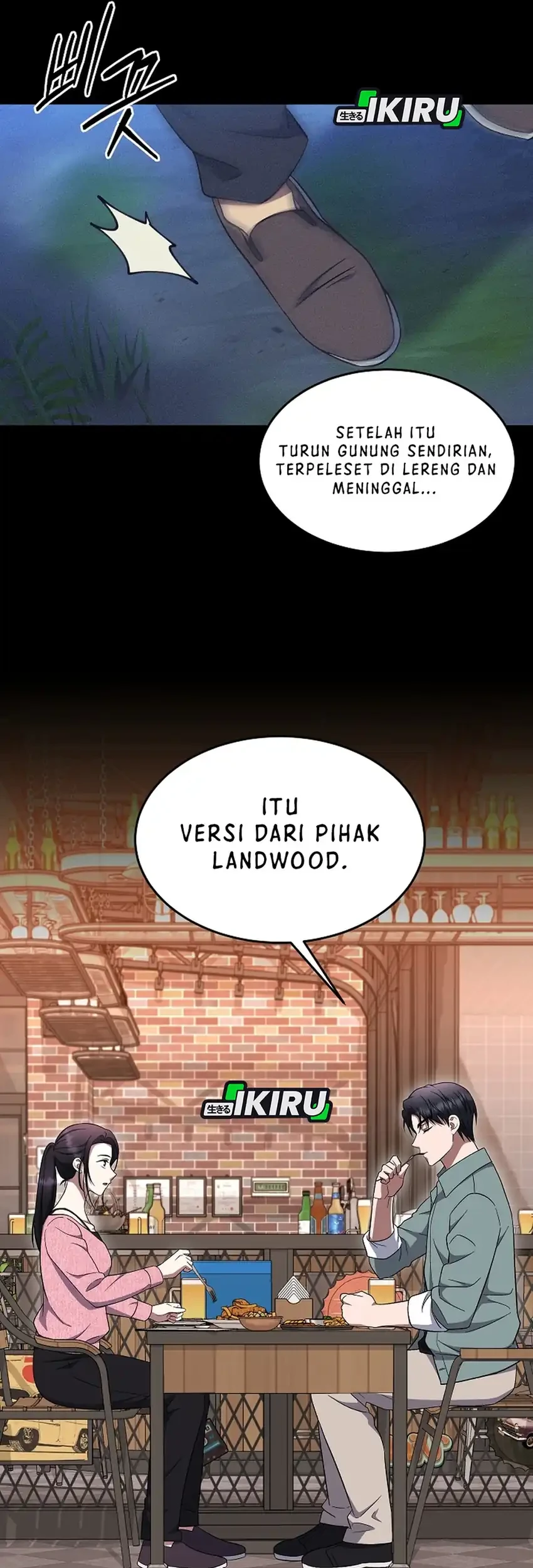 Halaman 17