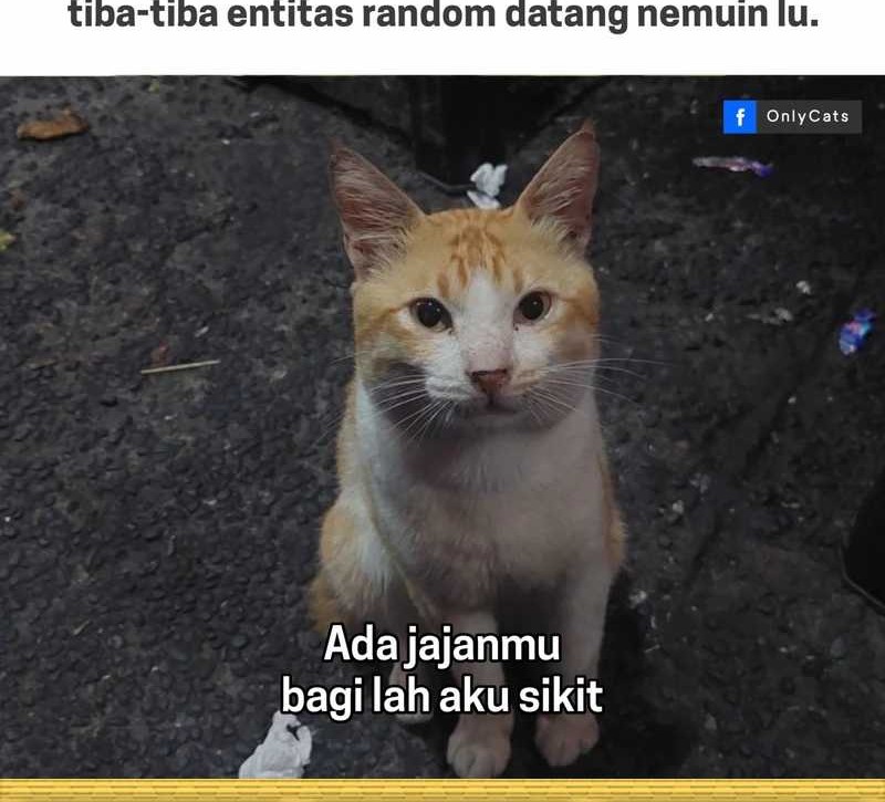 Halaman 161