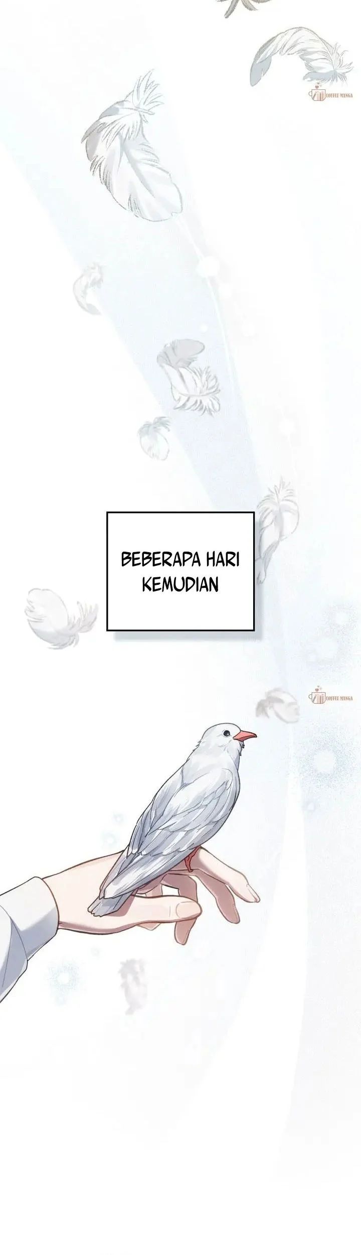 Halaman 45