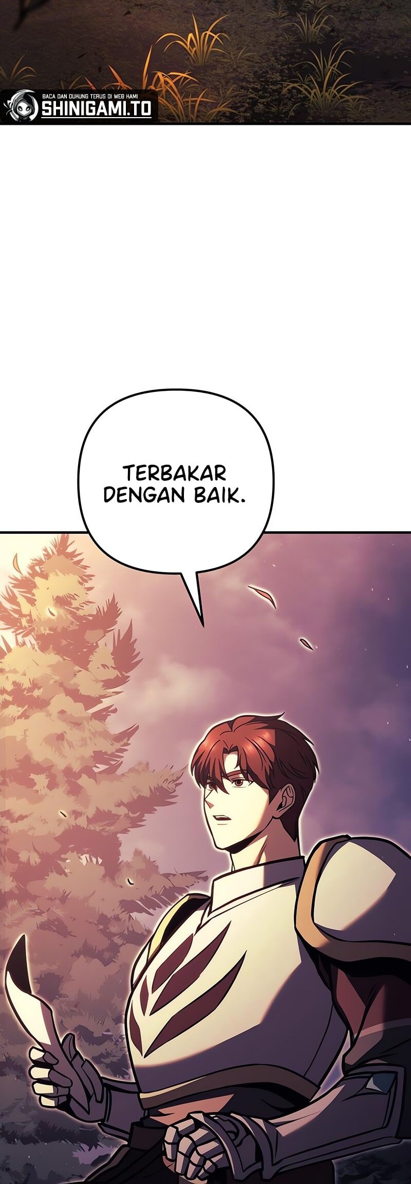 Halaman 223
