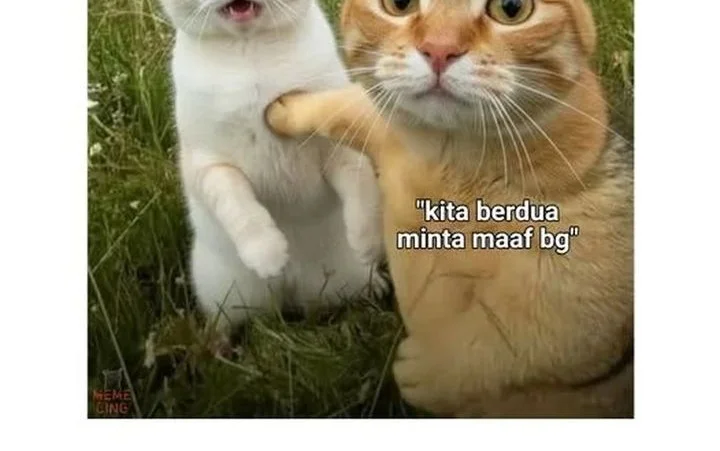 Halaman 146