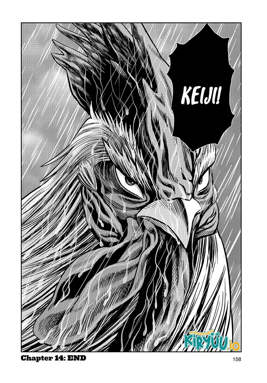 Halaman 33