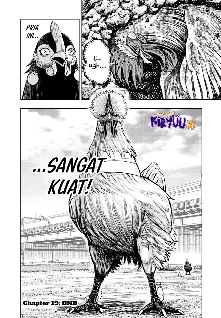 Halaman 41