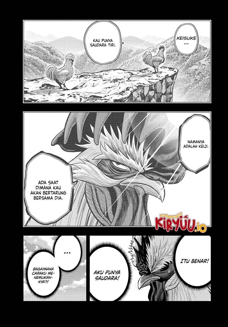 Halaman 43