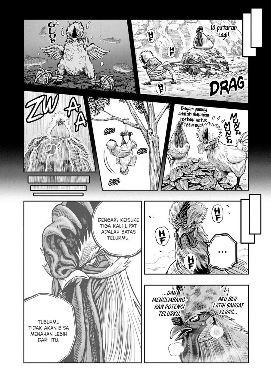 Halaman 31
