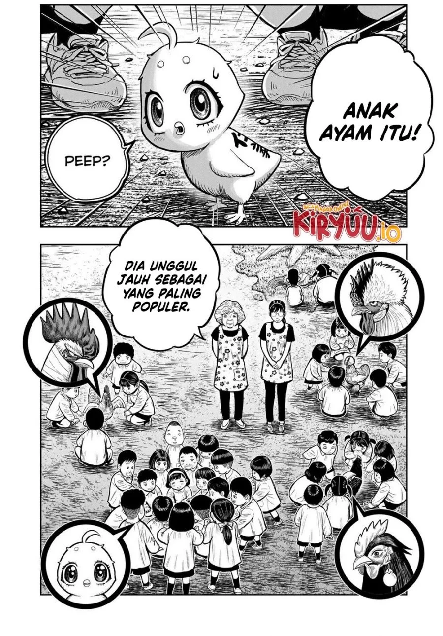 Halaman 19
