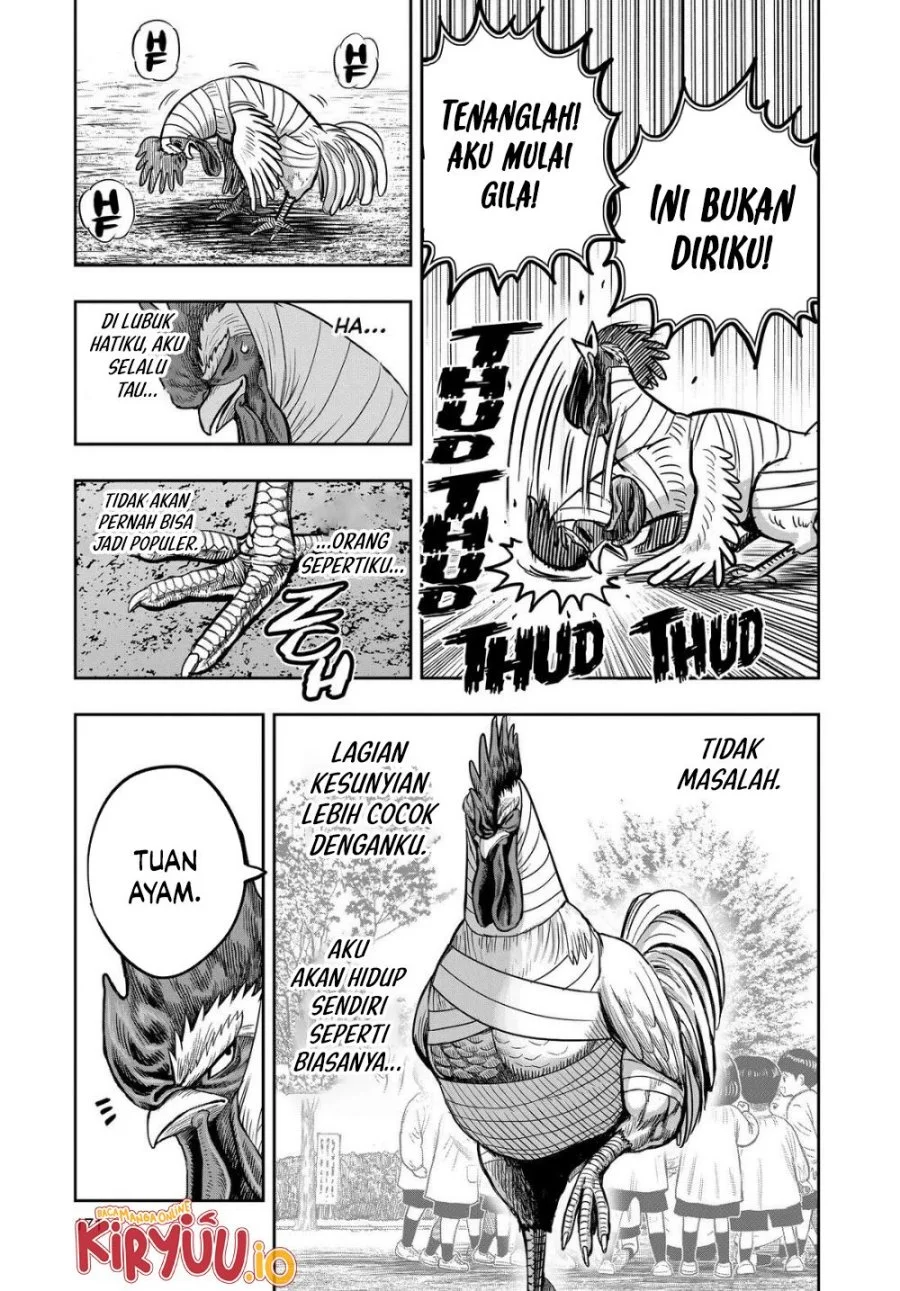 Halaman 28