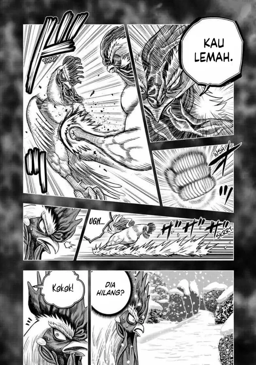 Halaman 62