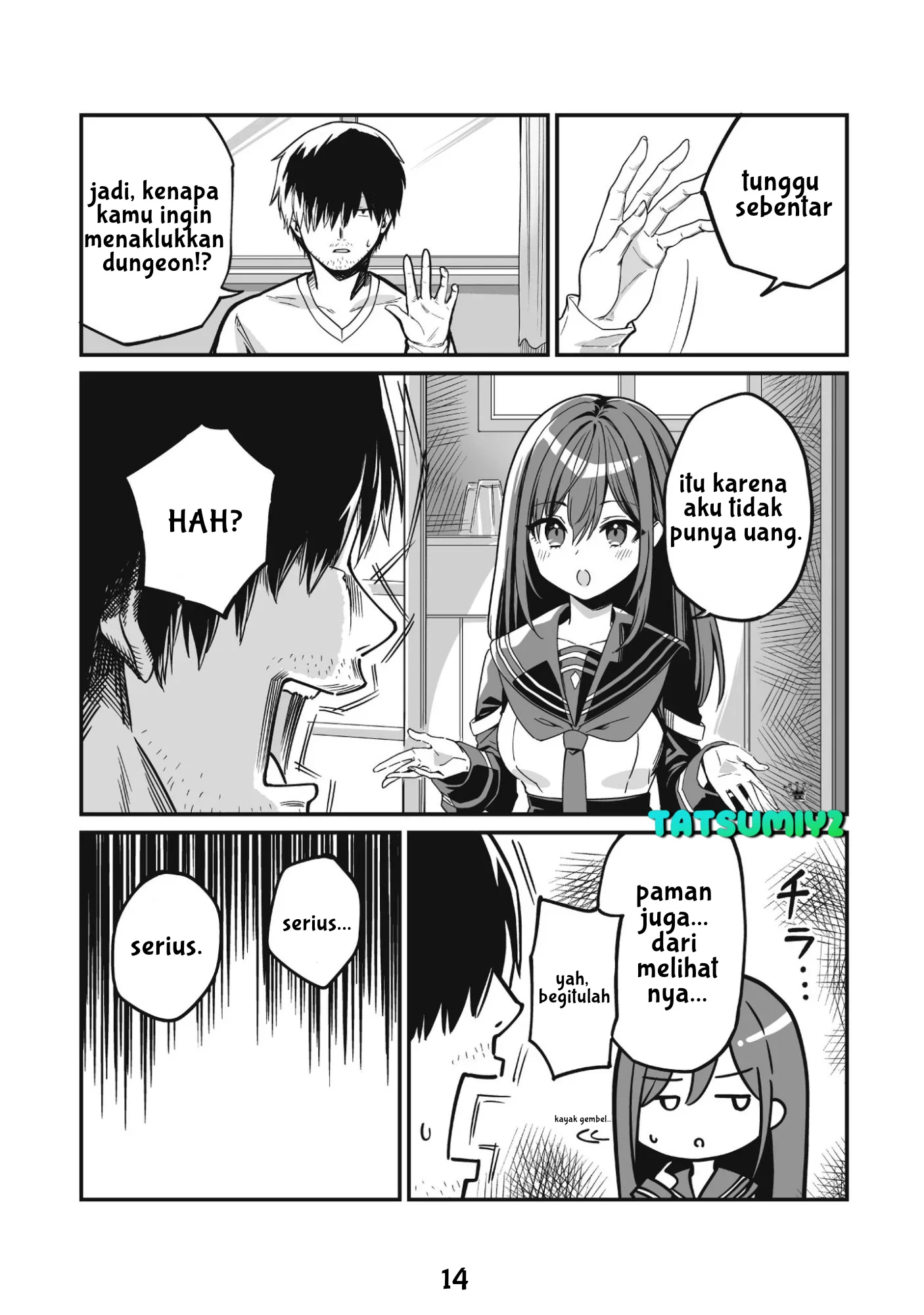 Halaman 17