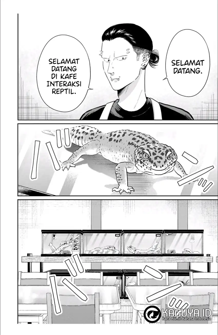 Halaman 17