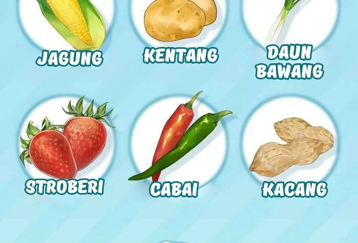 Halaman 68