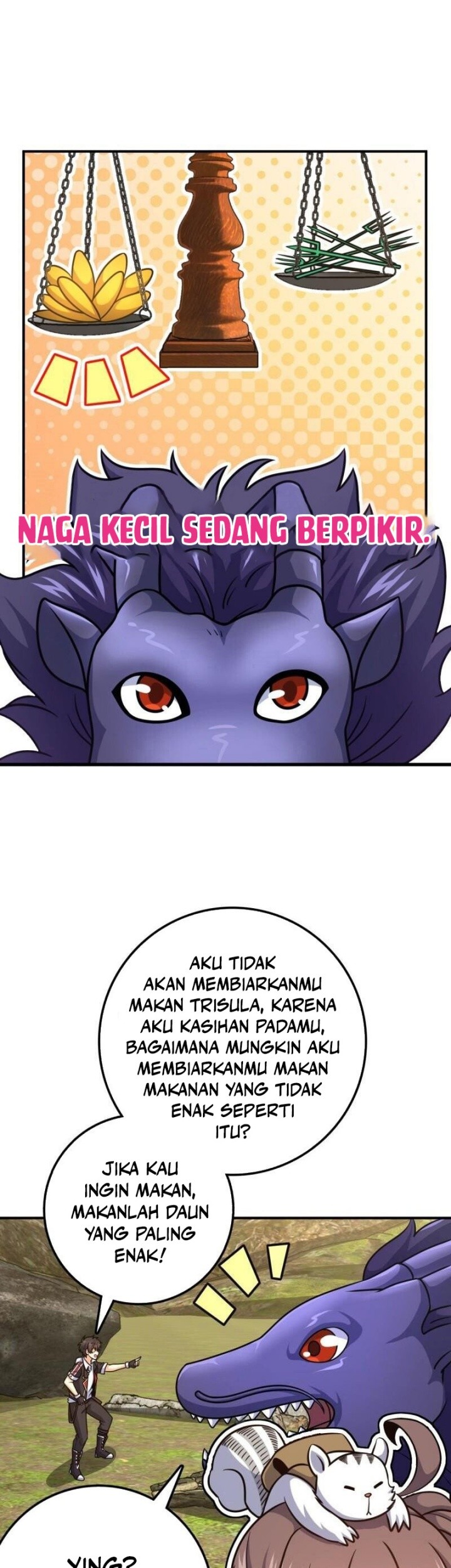 Halaman 43