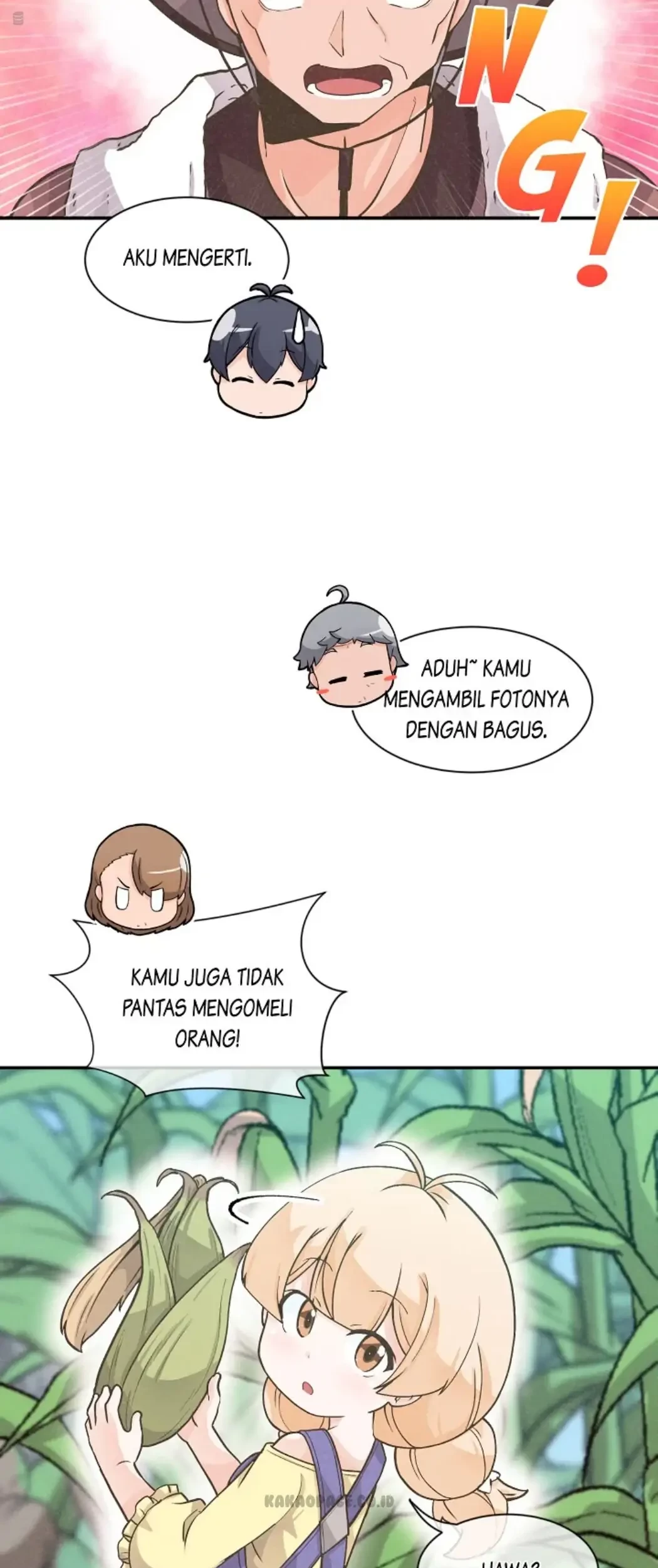 Halaman 17