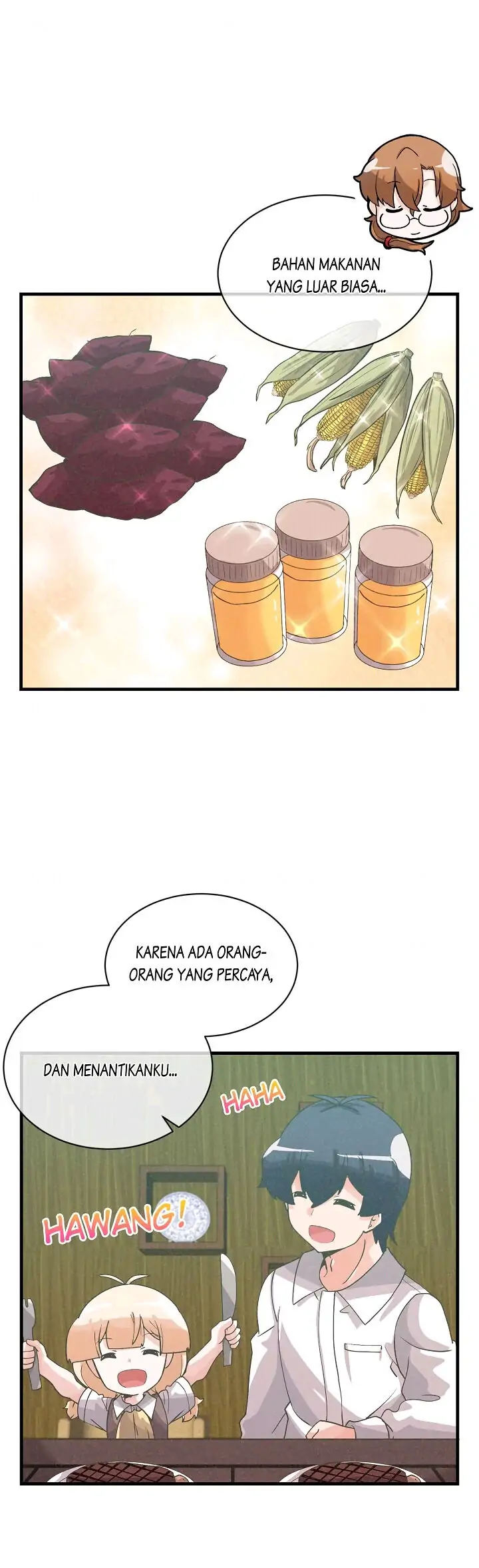 Halaman 17
