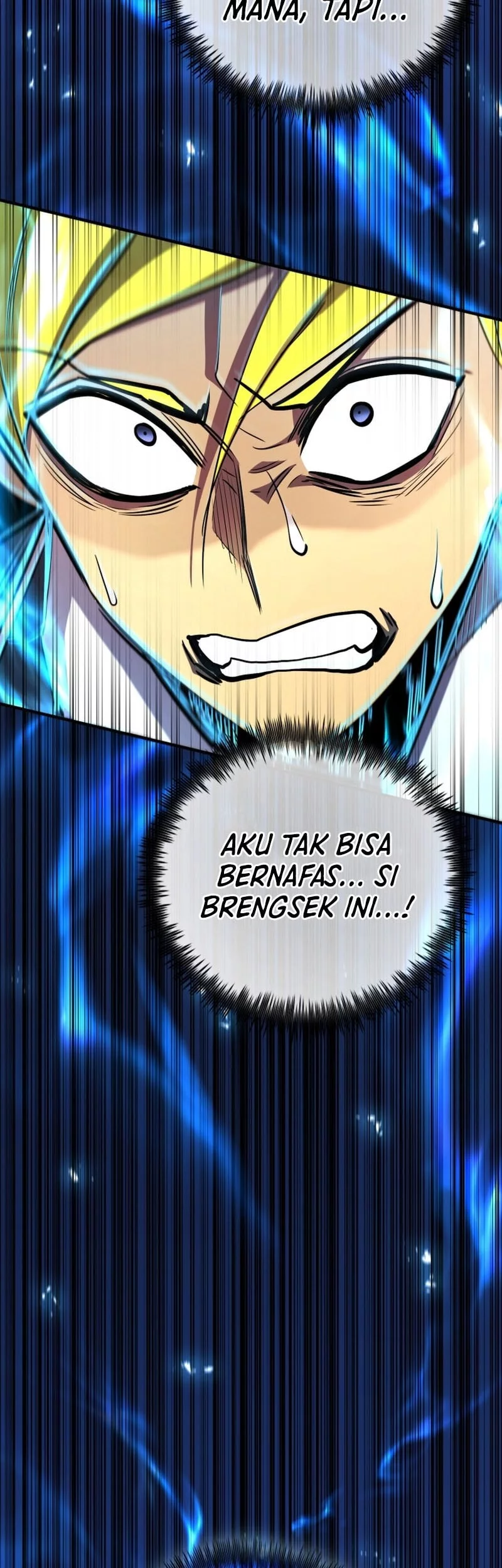Halaman 294