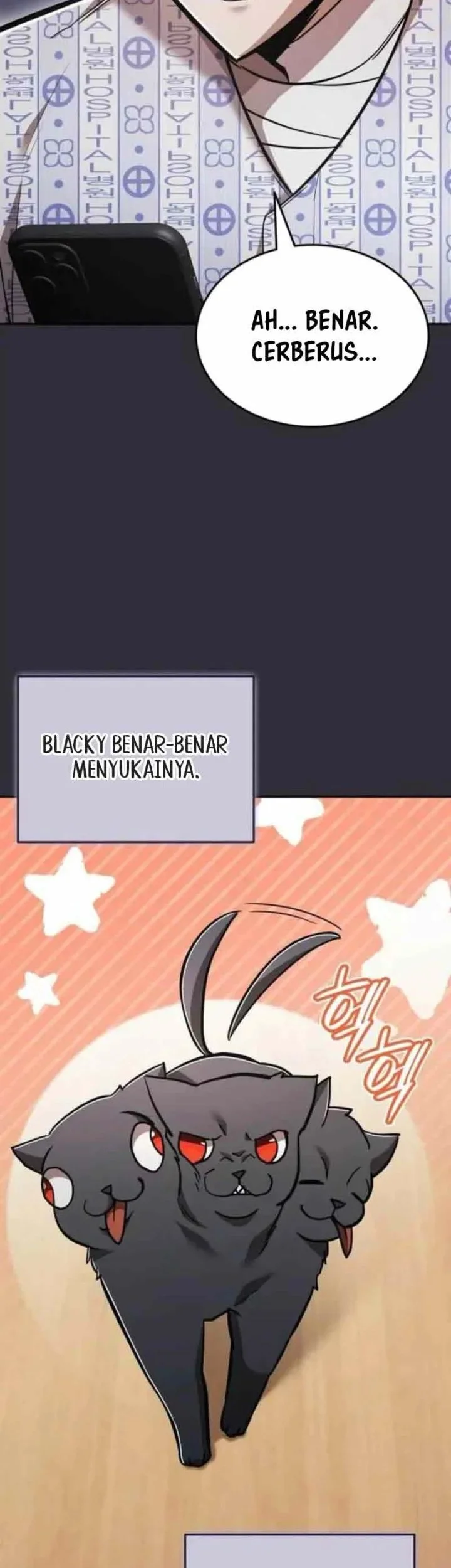 Halaman 43
