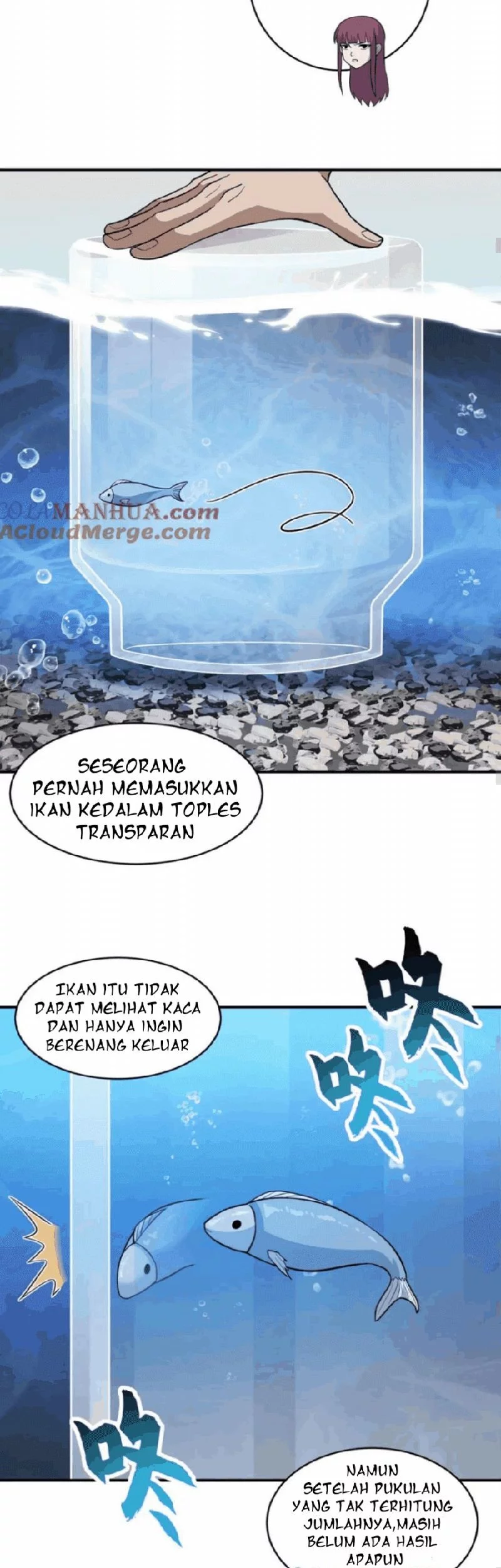 Halaman 17