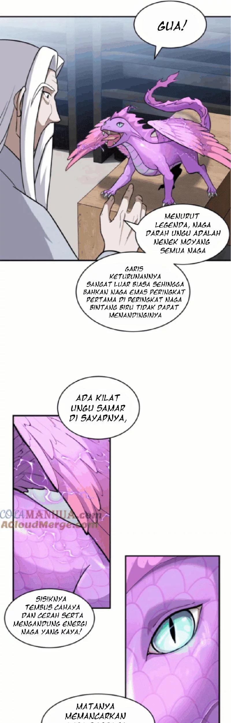 Halaman 17