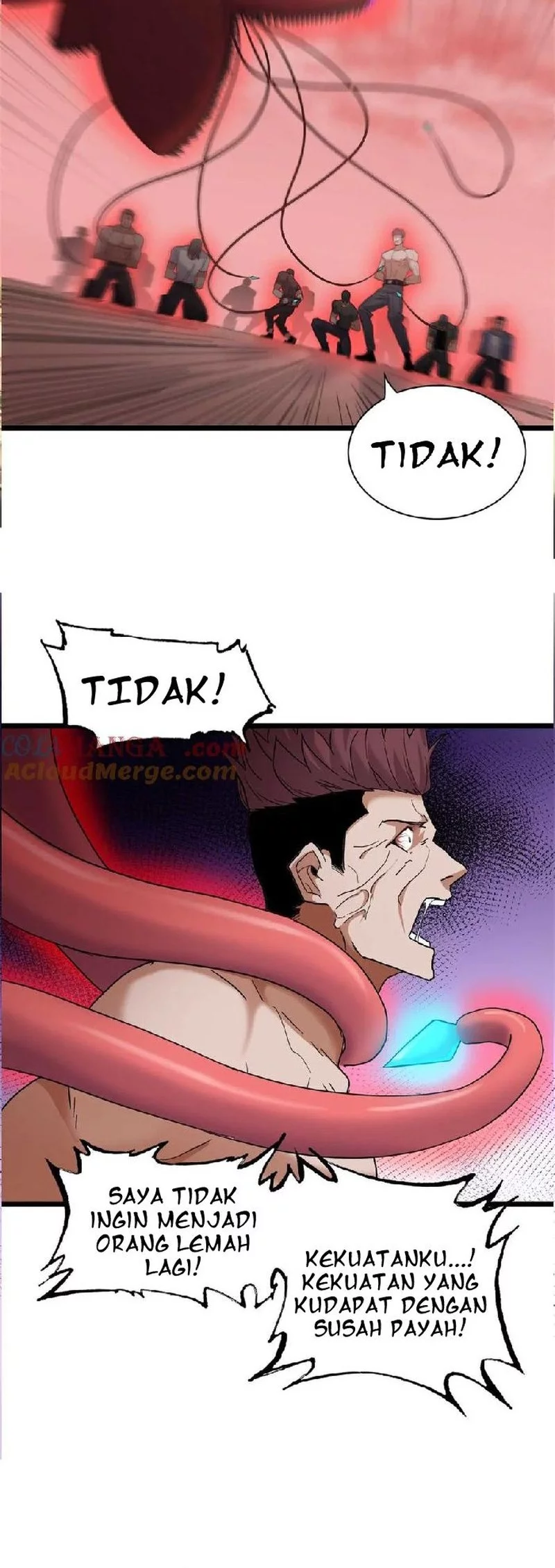 Halaman 8