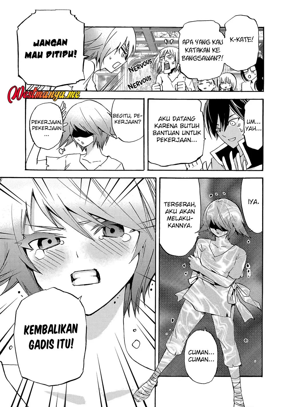 Halaman 17