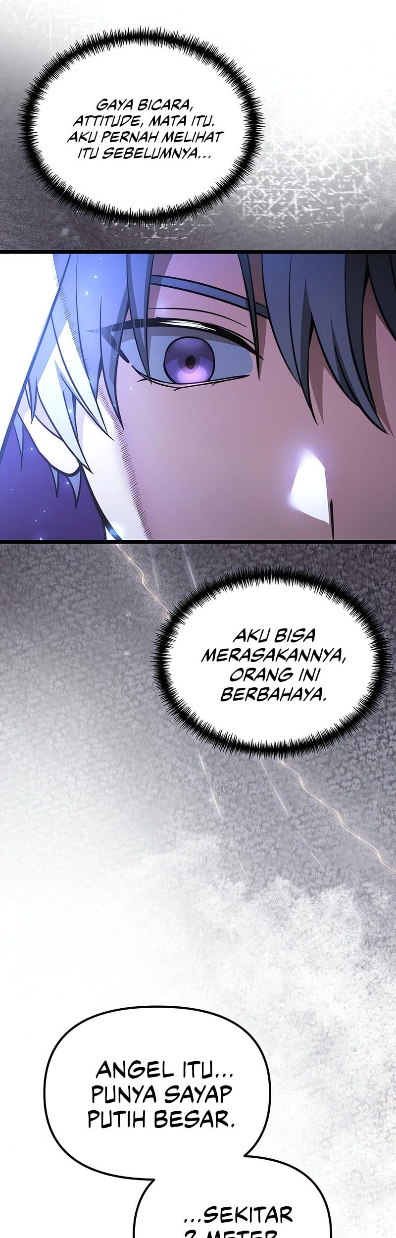 Halaman 243