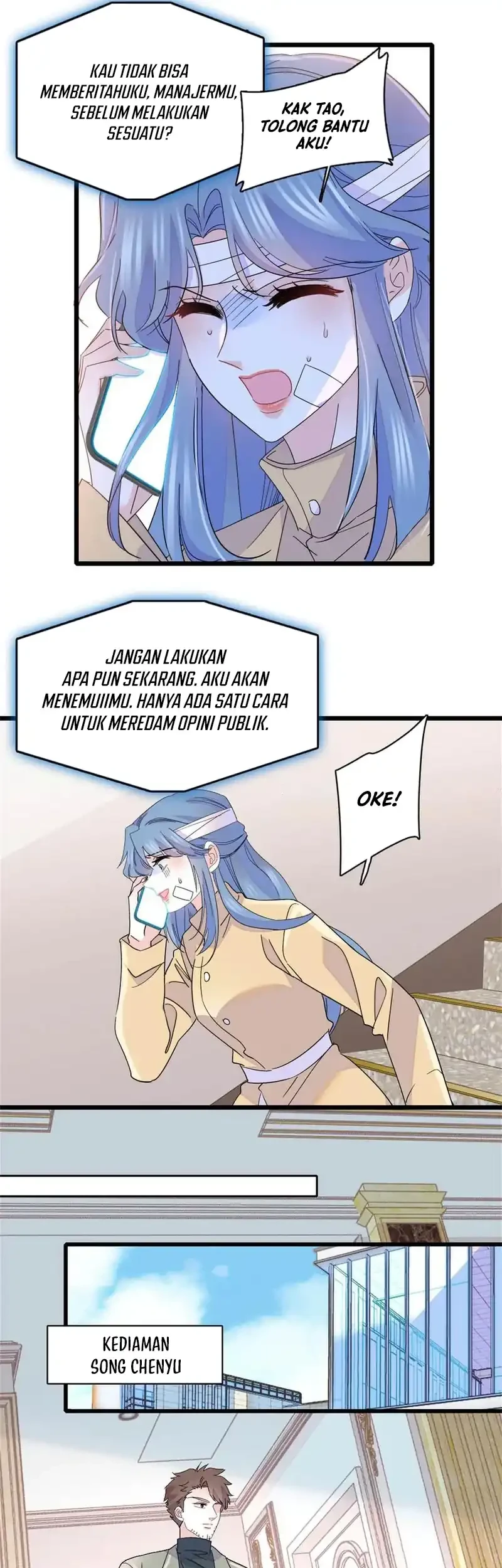 Halaman 17
