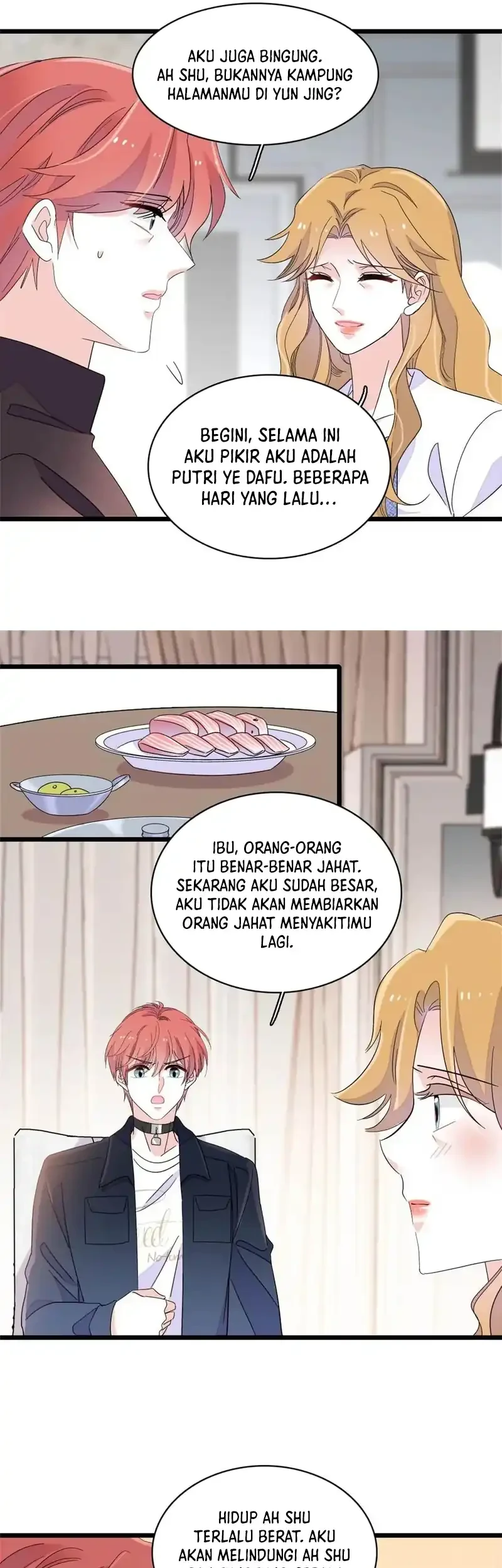 Halaman 17