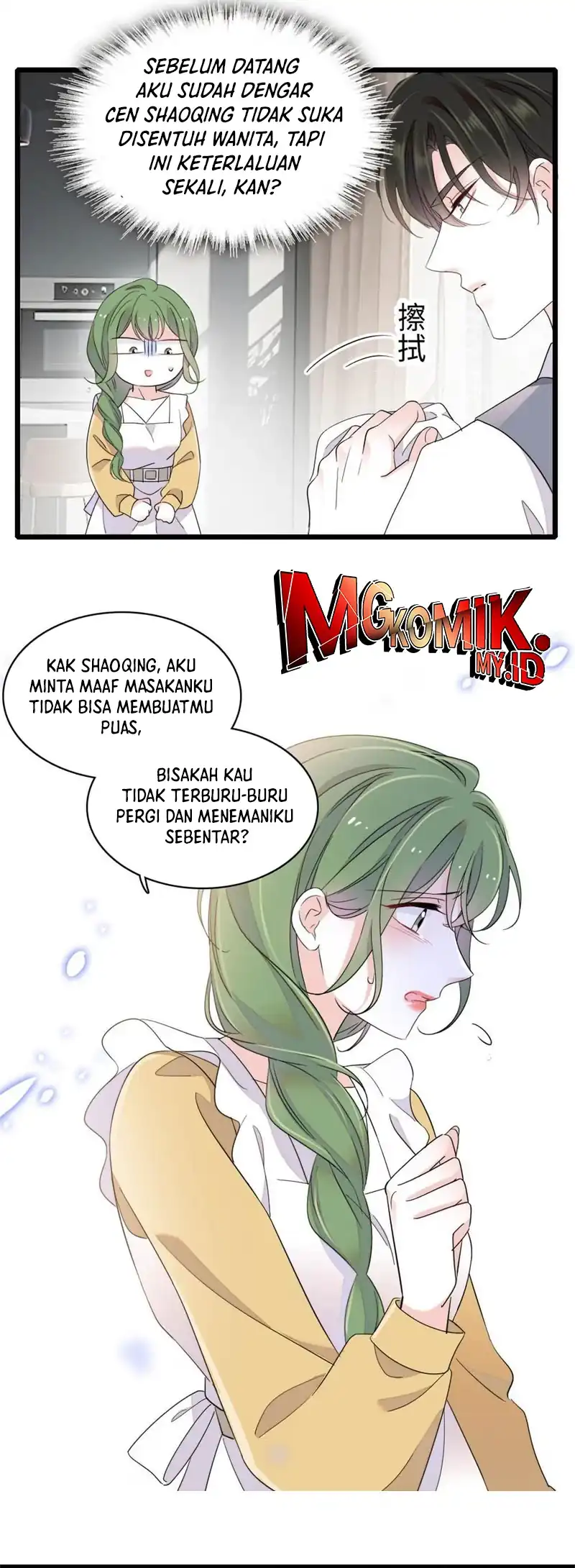 Halaman 17