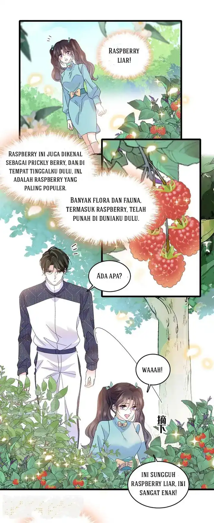 Halaman 51