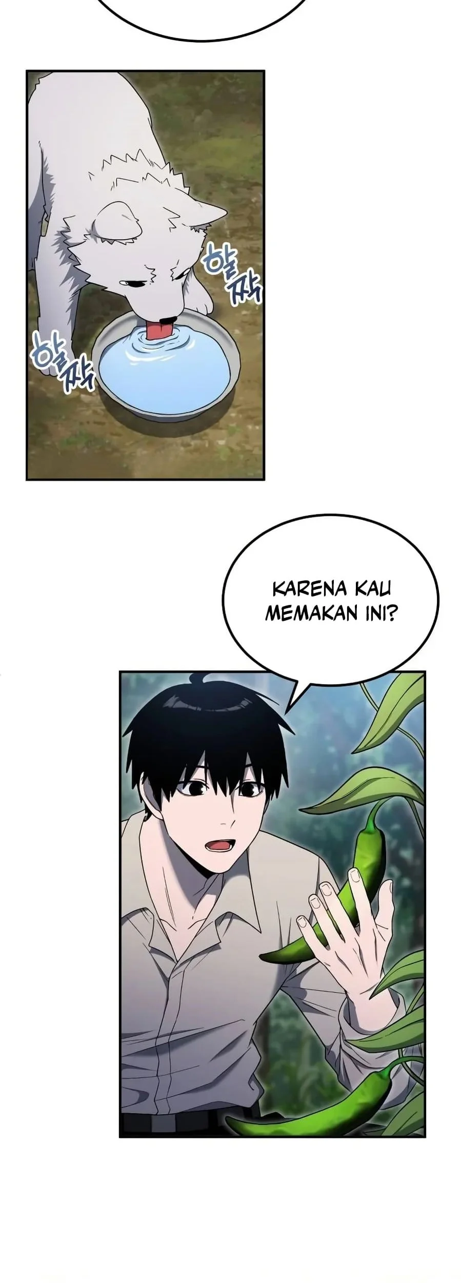 Halaman 54
