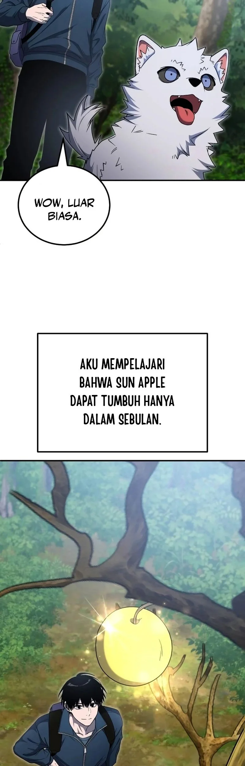 Halaman 15