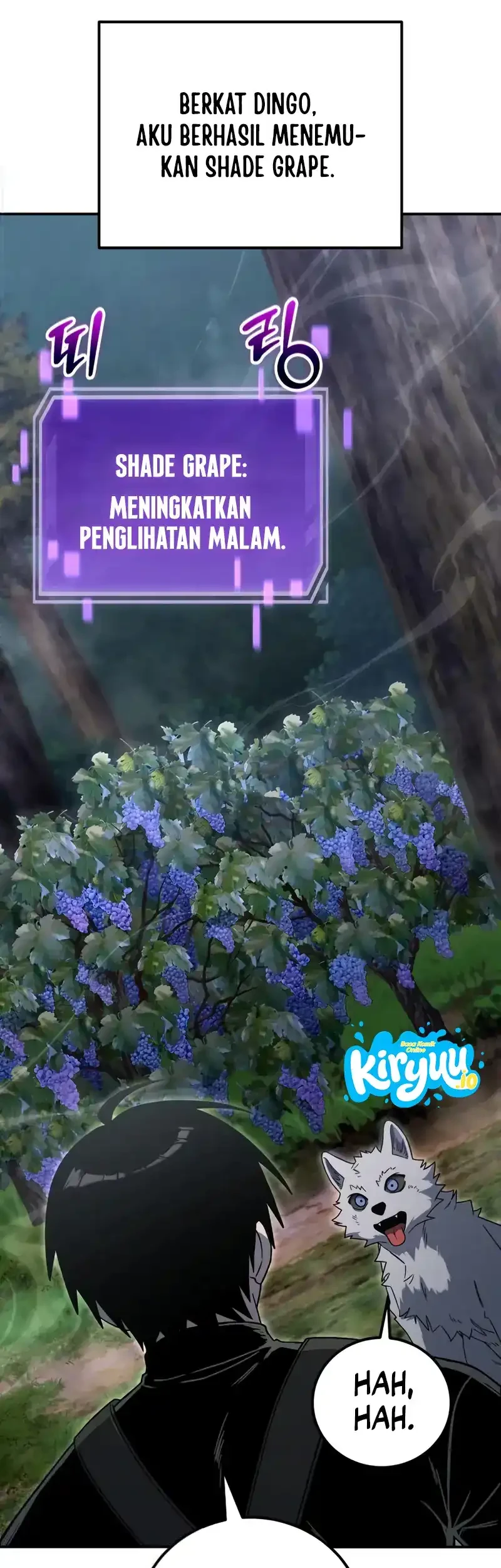 Halaman 43