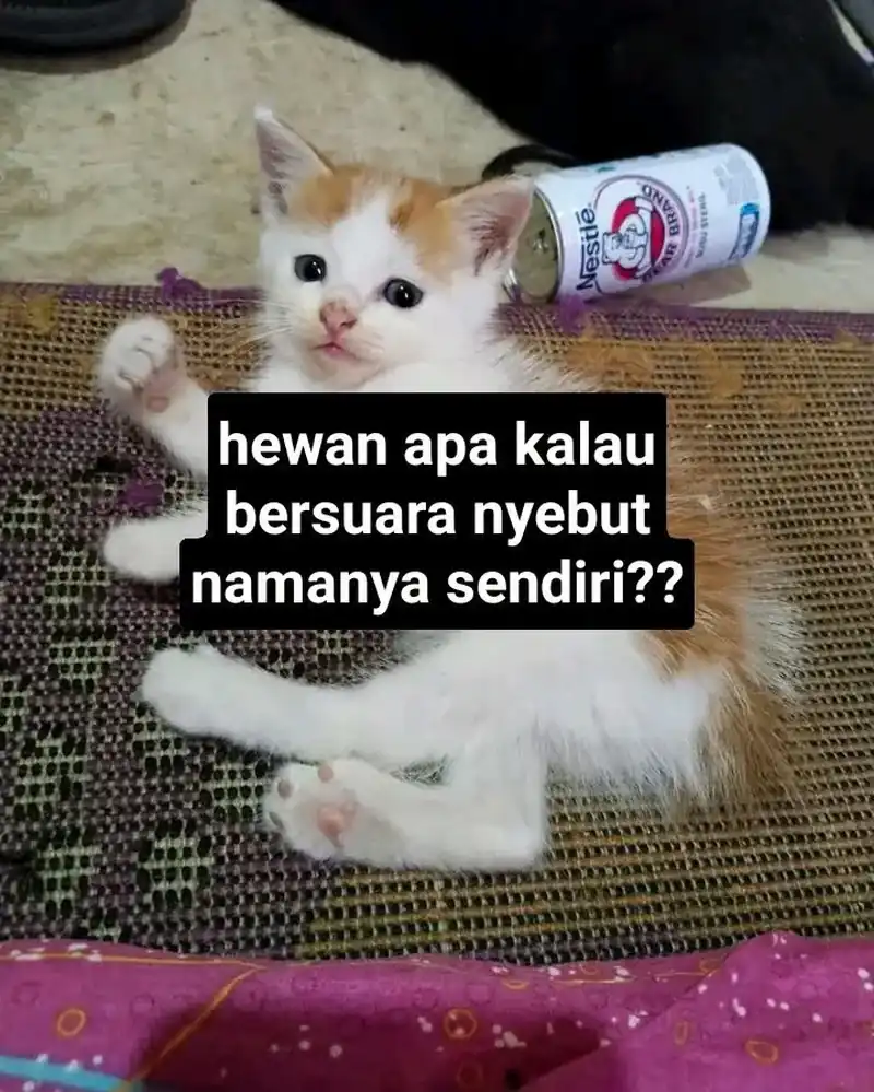 Halaman 274