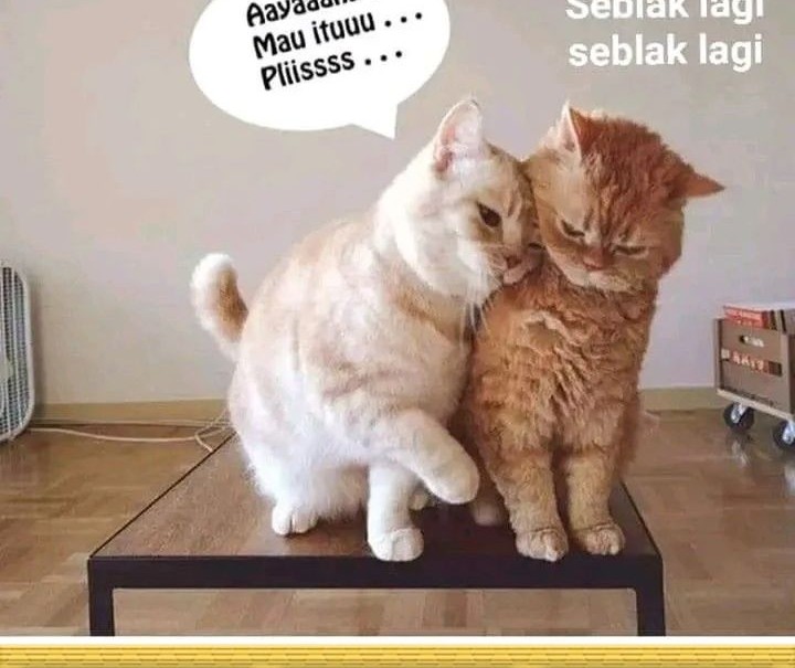 Halaman 77