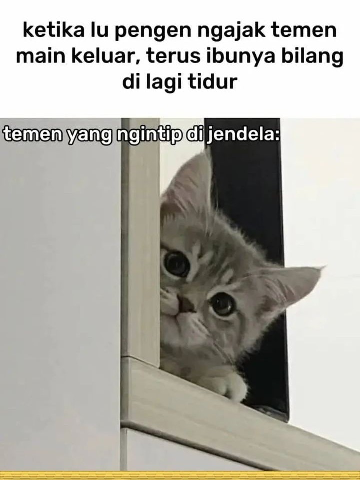 Halaman 95