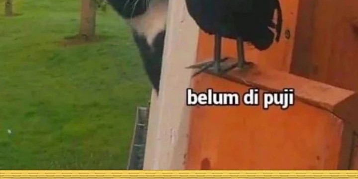 Halaman 85