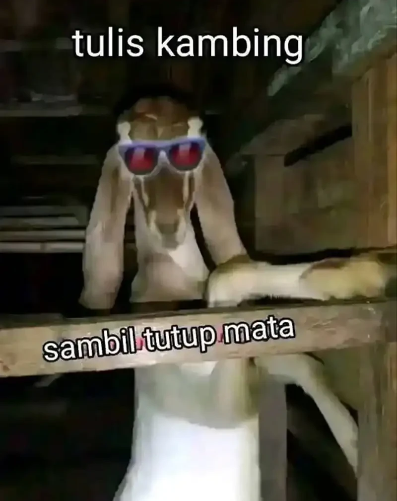 Halaman 251