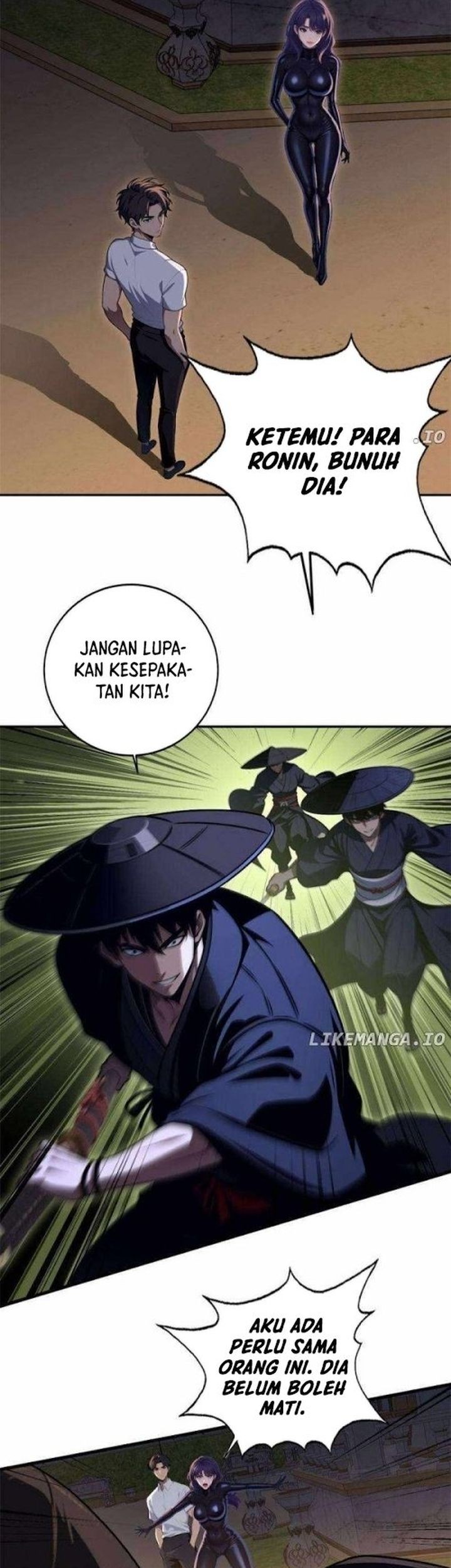 Halaman 17