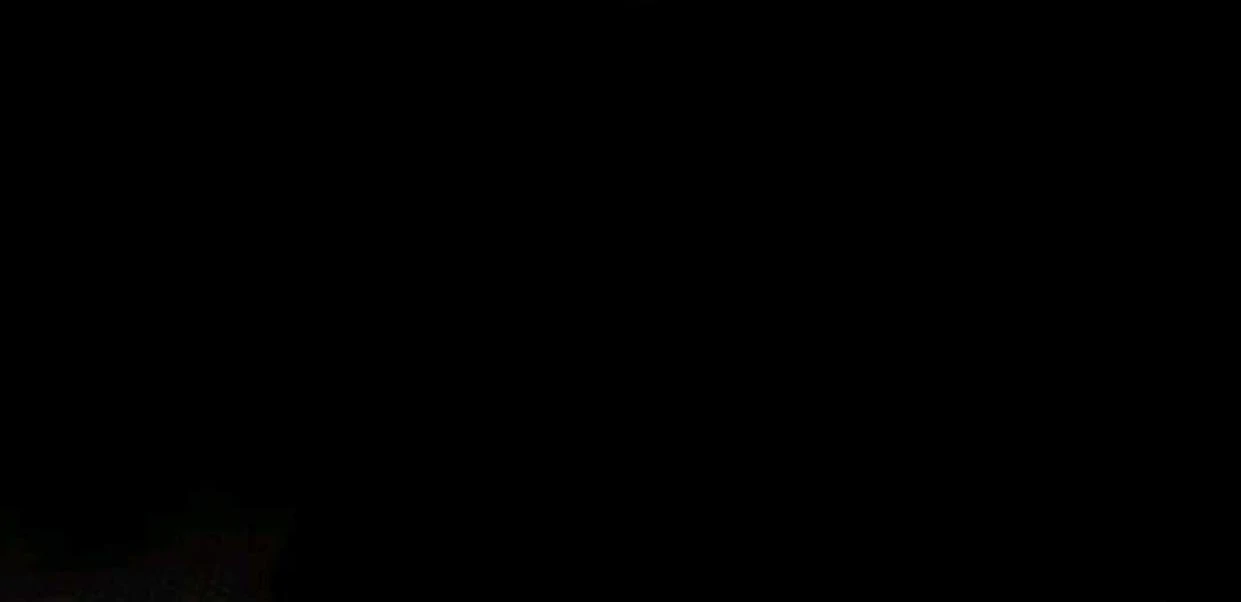 Halaman 225