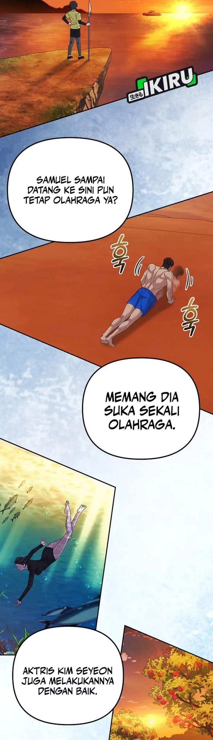 Halaman 17