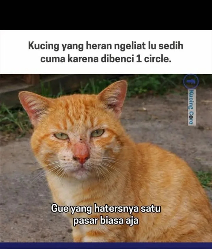 Halaman 427