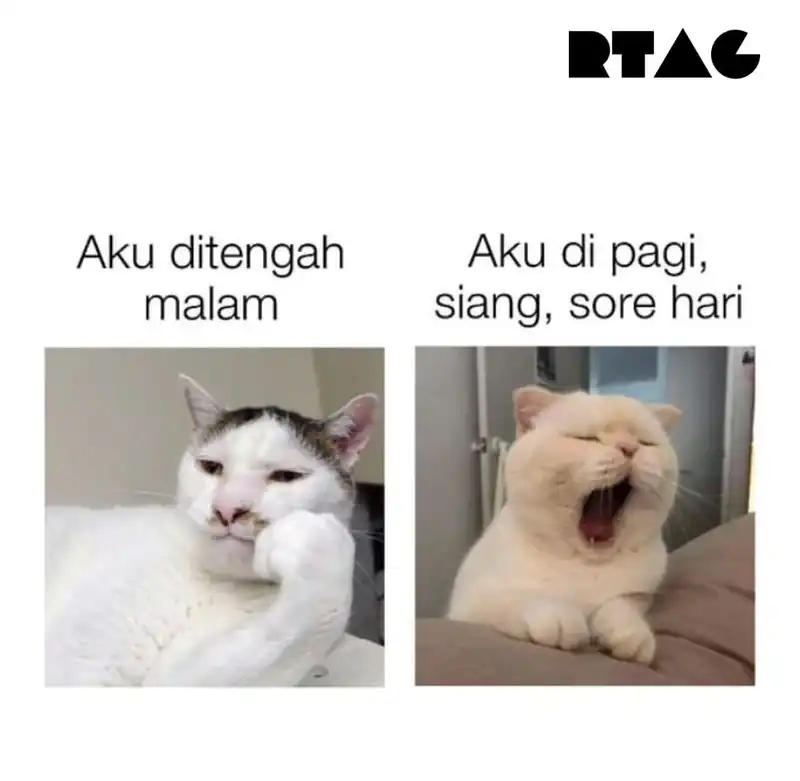 Halaman 101